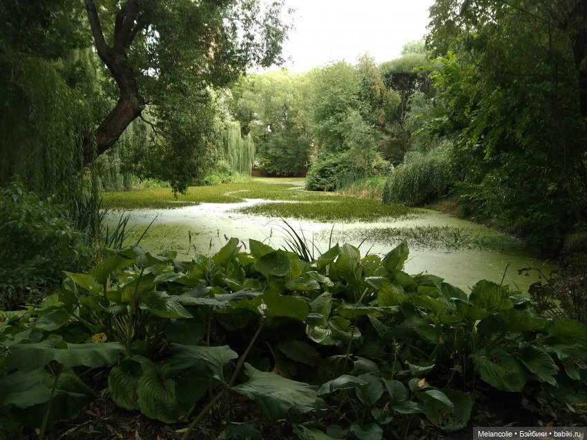 Аптекарский огород. Ч.2 — Туризм и путешествия: фотоотчеты из поездок