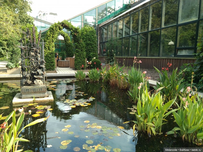 Аптекарский огород. Ч.2 — Туризм и путешествия: фотоотчеты из поездок