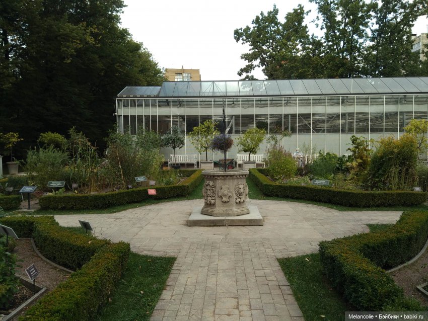 Аптекарский огород. Ч.1 — Туризм и путешествия: фотоотчеты из поездок