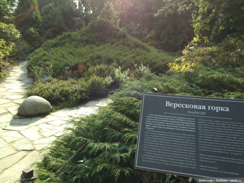 Аптекарский огород. Ч.2 — Туризм и путешествия: фотоотчеты из поездок