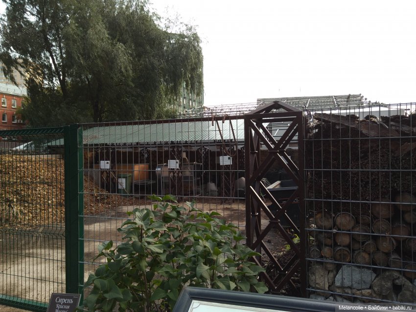 Аптекарский огород. Ч.2 — Туризм и путешествия: фотоотчеты из поездок