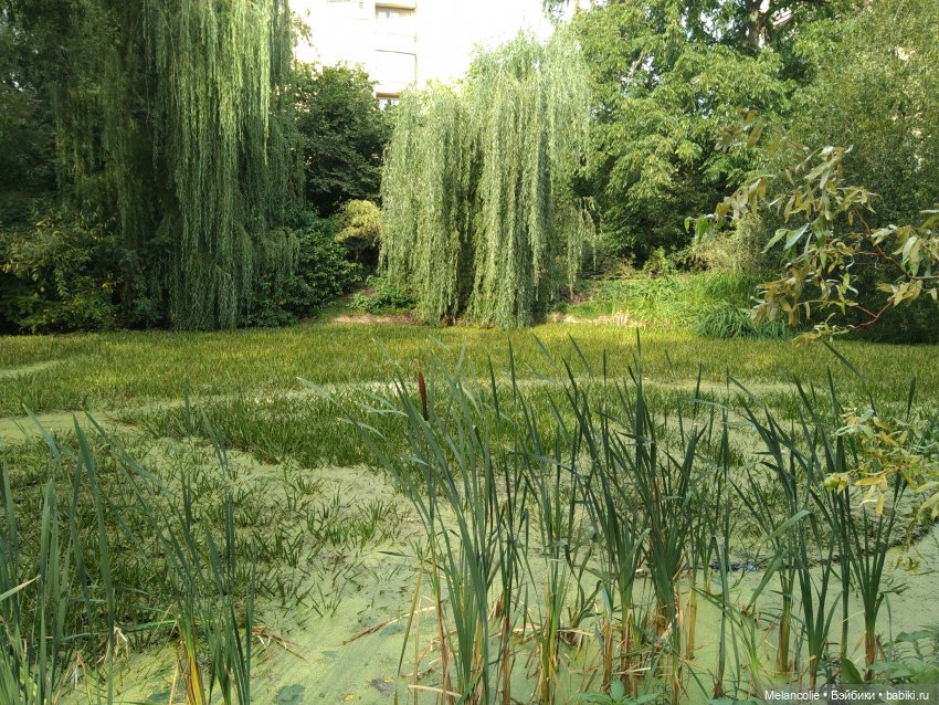 Аптекарский огород. Ч.1 — Туризм и путешествия: фотоотчеты из поездок