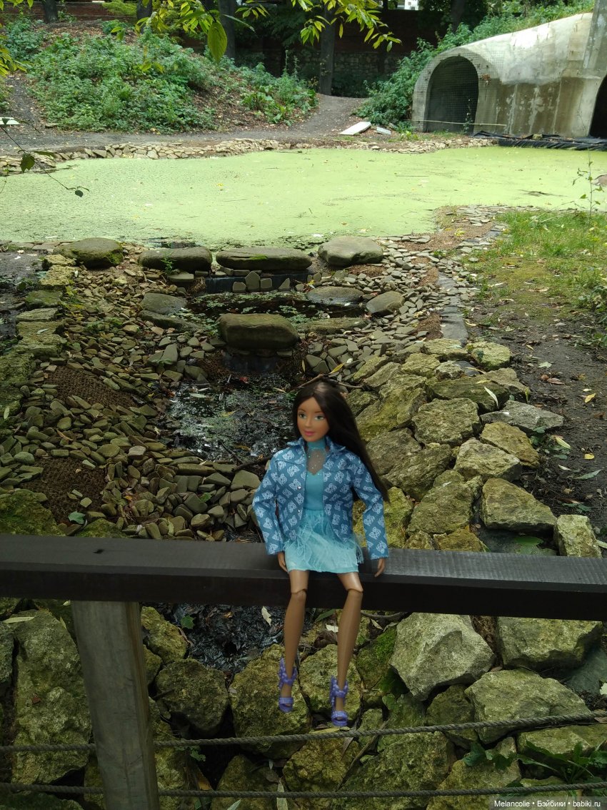 Аптекарский огород. Ч.2 — Туризм и путешествия: фотоотчеты из поездок