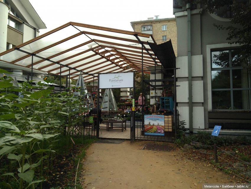 Аптекарский огород. Ч.2 — Туризм и путешествия: фотоотчеты из поездок