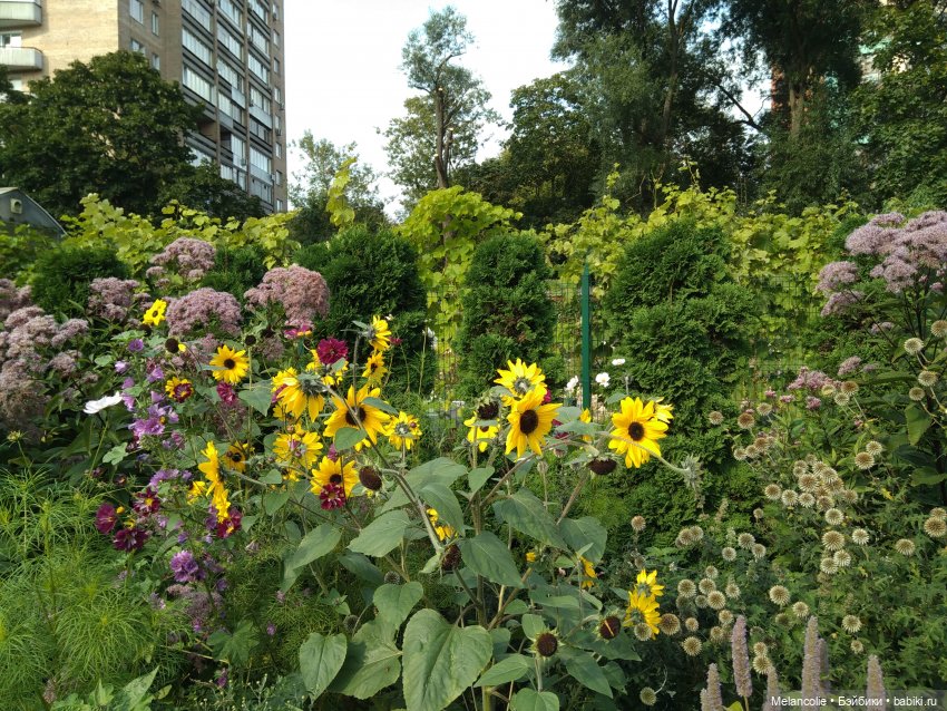 Аптекарский огород. Ч.2 — Туризм и путешествия: фотоотчеты из поездок