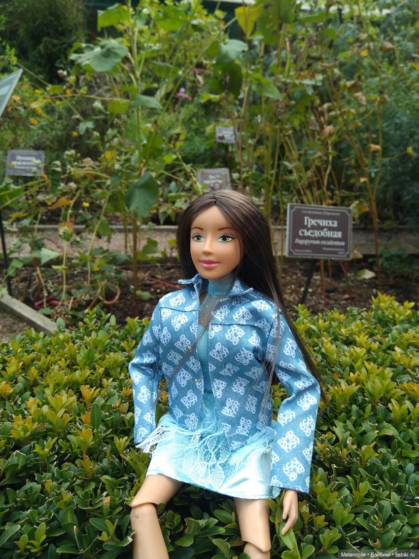 Аптекарский огород. Ч.1 — Туризм и путешествия: фотоотчеты из поездок