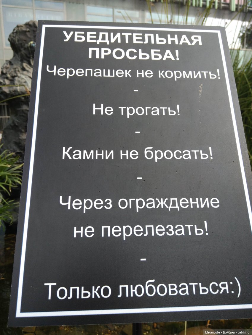 Аптекарский огород. Ч.2 — Туризм и путешествия: фотоотчеты из поездок (фото 2)