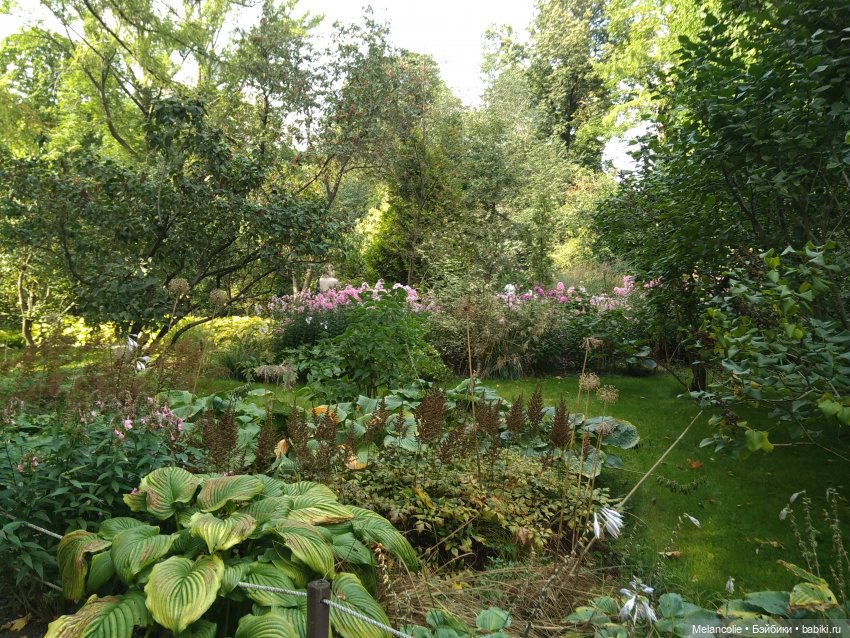 Аптекарский огород. Ч.1 — Туризм и путешествия: фотоотчеты из поездок