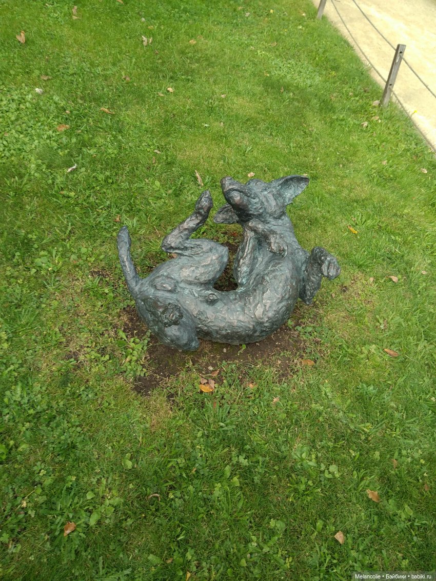 Аптекарский огород. Ч.2 — Туризм и путешествия: фотоотчеты из поездок