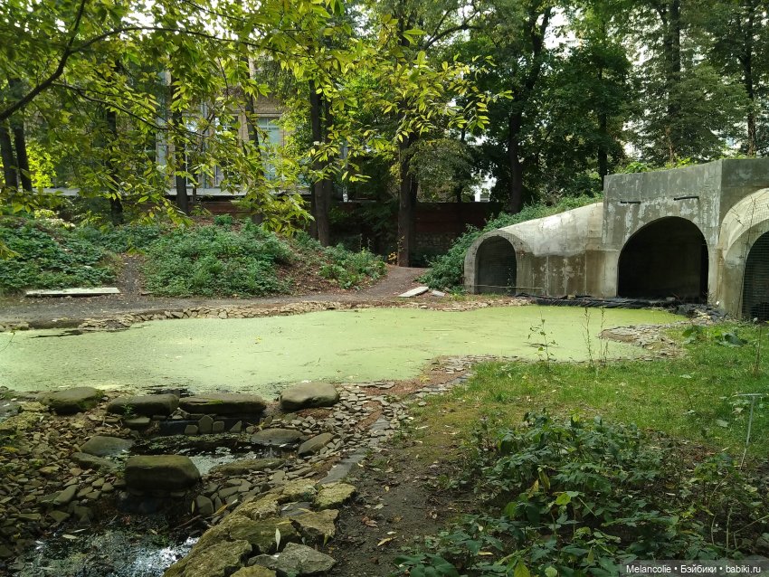 Аптекарский огород. Ч.2 — Туризм и путешествия: фотоотчеты из поездок