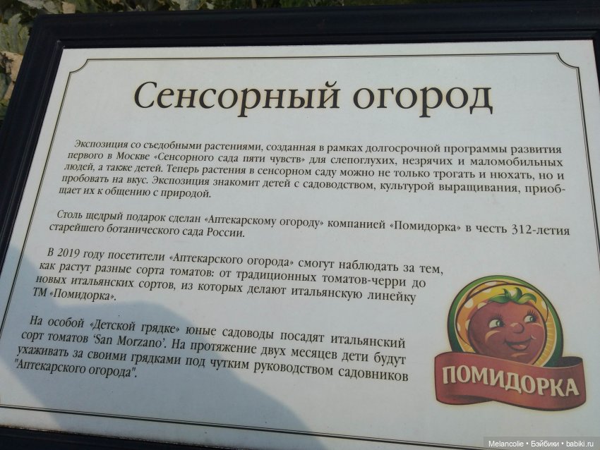 Аптекарский огород. Ч.2 — Туризм и путешествия: фотоотчеты из поездок (фото 9)