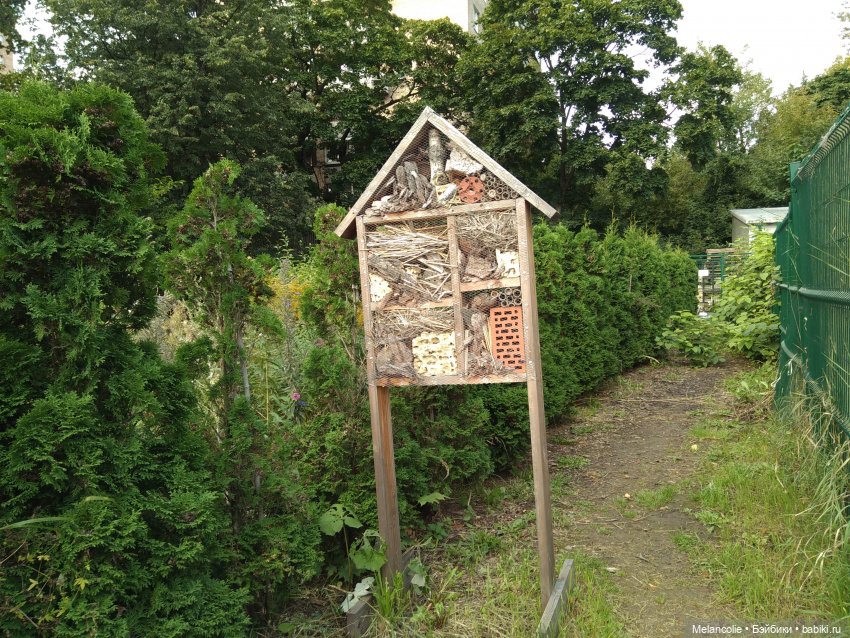 Аптекарский огород. Ч.2 — Туризм и путешествия: фотоотчеты из поездок