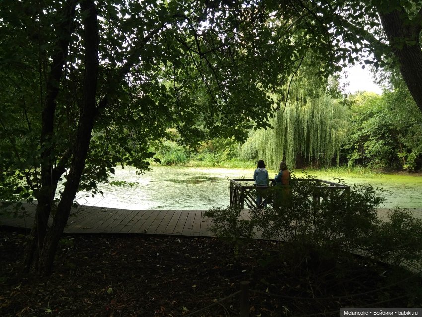 Аптекарский огород. Ч.1 — Туризм и путешествия: фотоотчеты из поездок