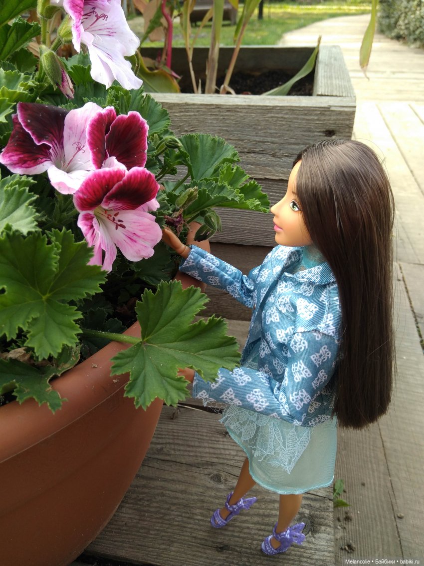 Аптекарский огород. Ч.1 — Туризм и путешествия: фотоотчеты из поездок