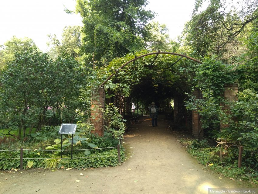 Аптекарский огород. Ч.1 — Туризм и путешествия: фотоотчеты из поездок