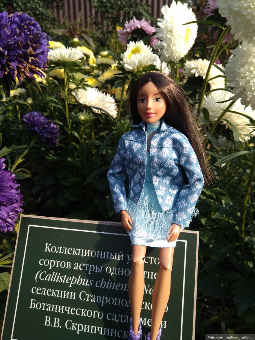 Аптекарский огород. Ч.2 — Туризм и путешествия: фотоотчеты из поездок