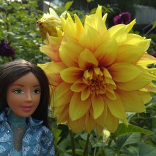 Аптекарский огород. Ч.2.