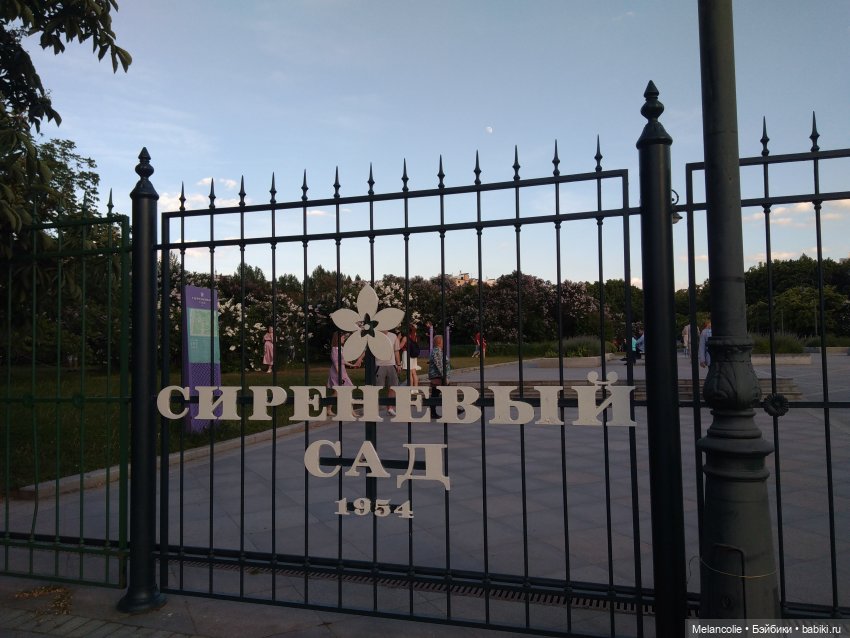 Когда цвела сирень — Куклы Barbie (Барби): Looks