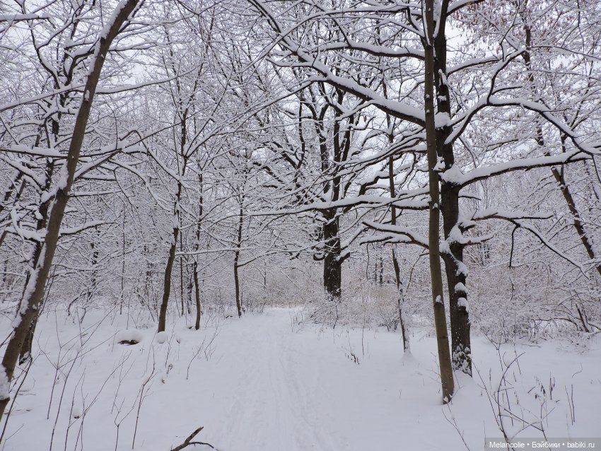 В ожидании праздника. Неожиданная встреча | Бэйбики В ожидании праздника. Неожиданная встреча (фото 8)