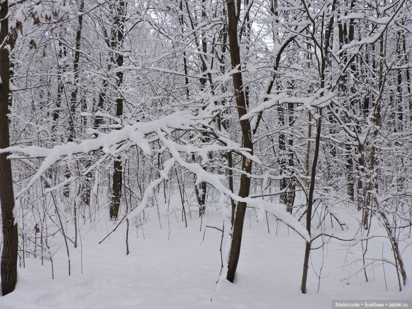 В ожидании праздника. Неожиданная встреча | Бэйбики В ожидании праздника. Неожиданная встреча