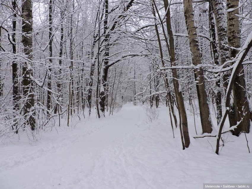 В ожидании праздника. Неожиданная встреча | Бэйбики В ожидании праздника. Неожиданная встреча