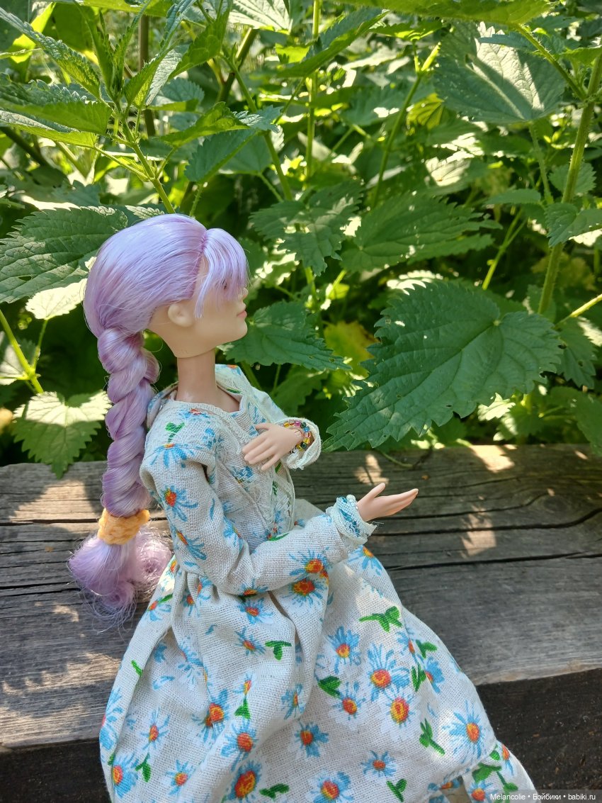 За травами и приключениями (фото 6)