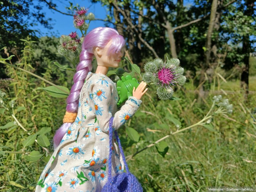 За травами и приключениями