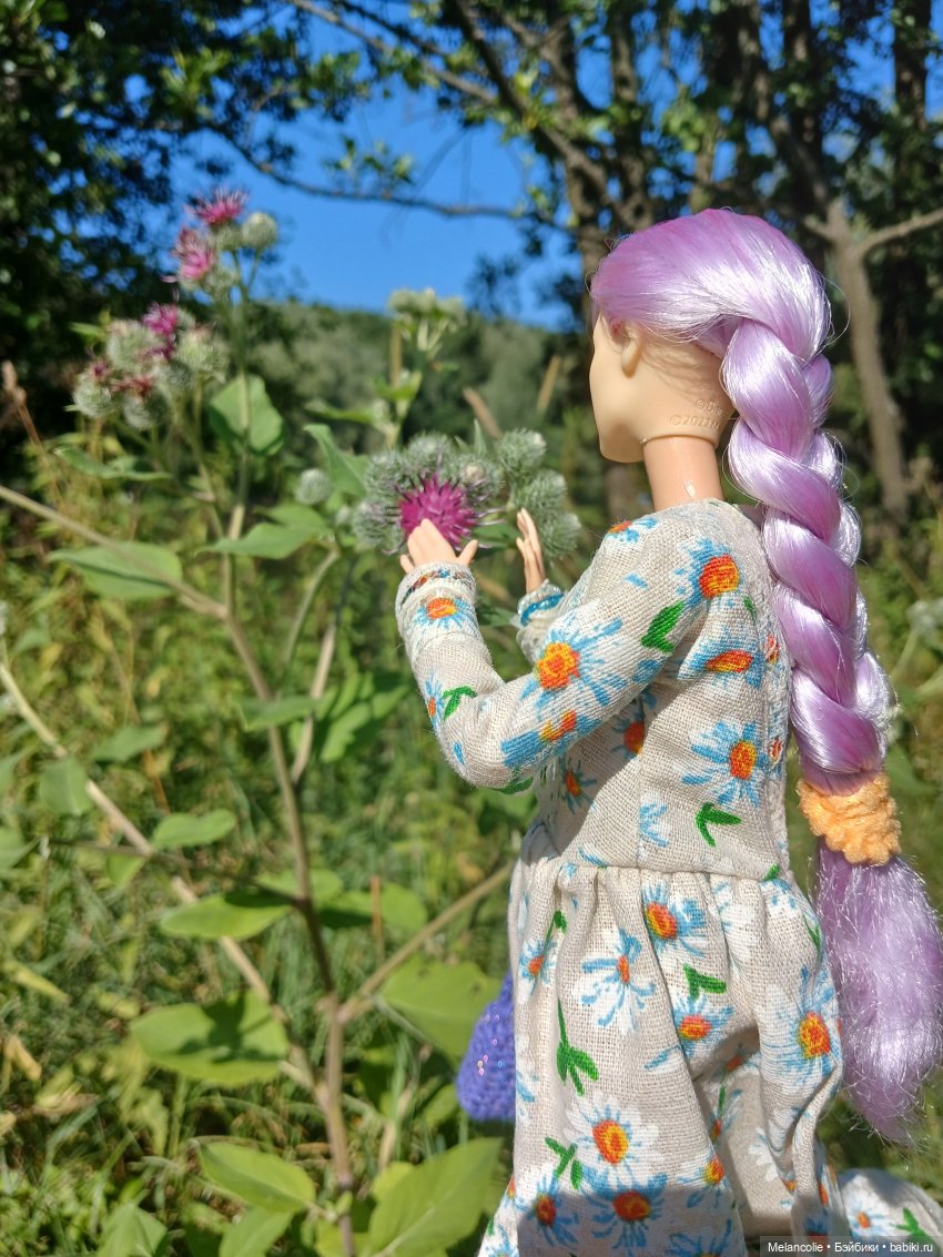 За травами и приключениями