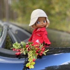 Осенняя прогулка