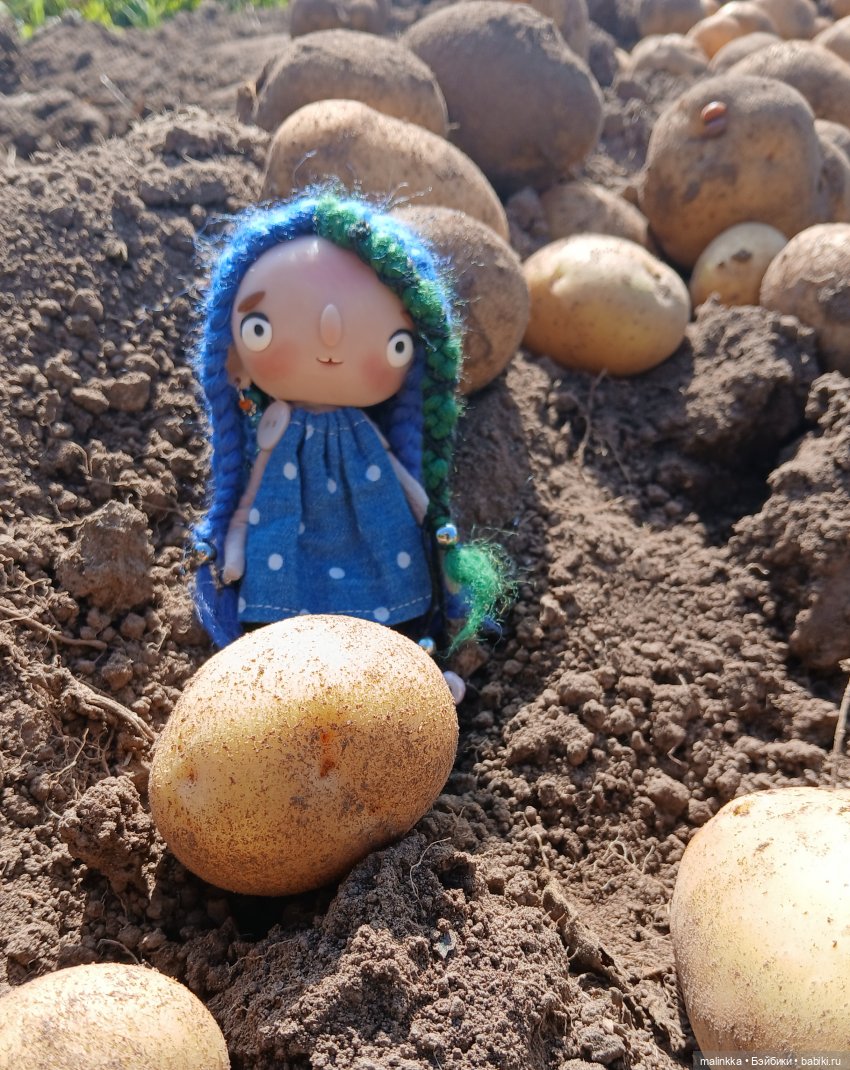 Моя Зоя | Бэйбики Моя Зоя — Авторские текстильные куклы: Вальдорфские