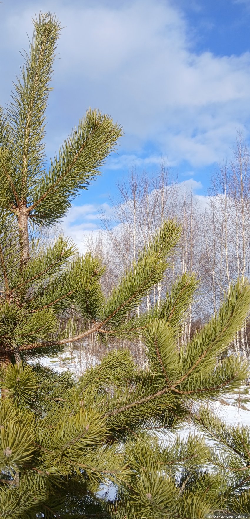 Прогулка с Ари — Российские куклы Весна (фото 8)