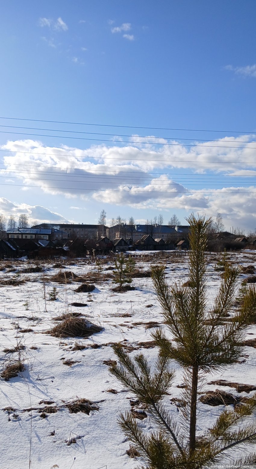 Прогулка с Ари — Российские куклы Весна