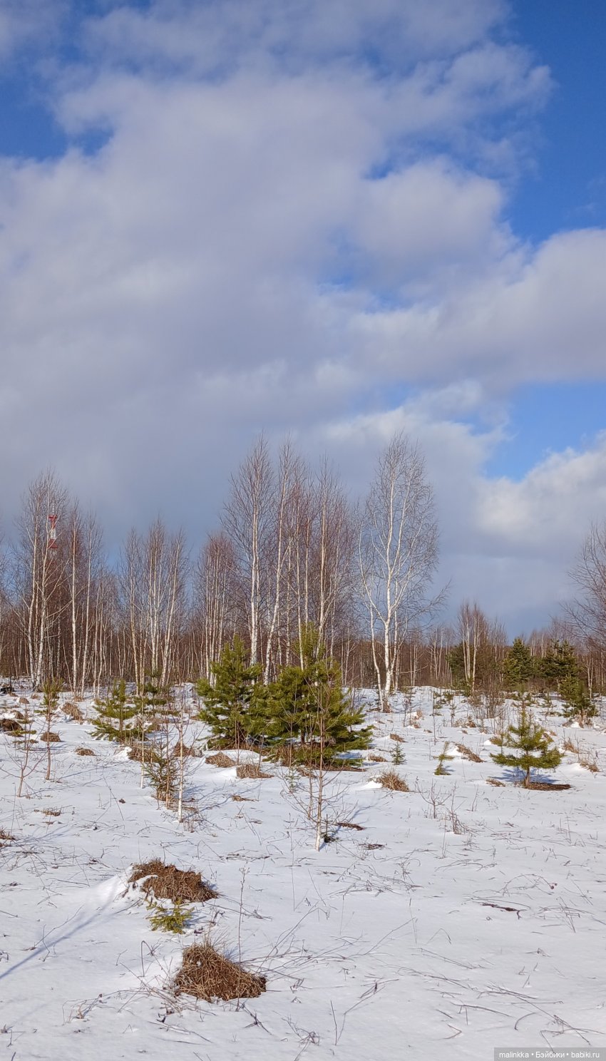 Прогулка с Ари — Российские куклы Весна