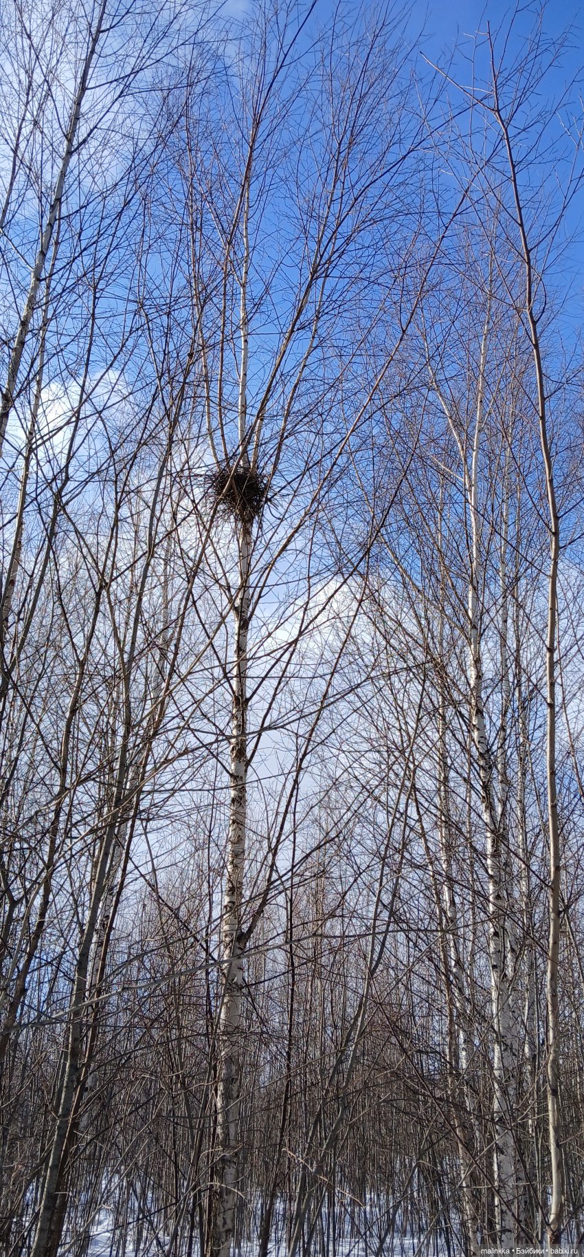 Прогулка с Ари — Российские куклы Весна (фото 10)