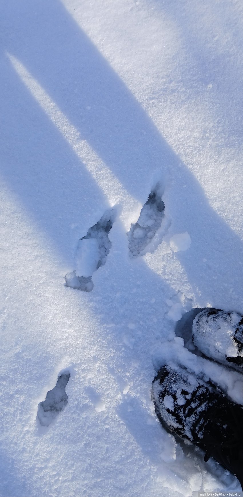 Прогулка с Ари — Российские куклы Весна