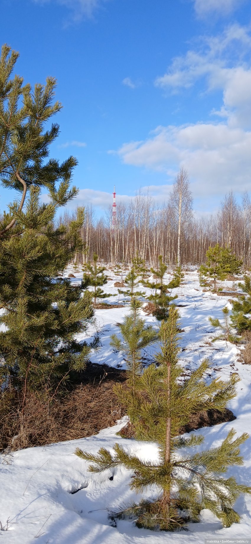 Прогулка с Ари — Российские куклы Весна (фото 2)