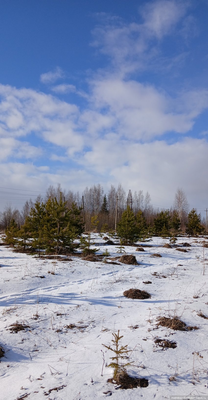 Прогулка с Ари — Российские куклы Весна