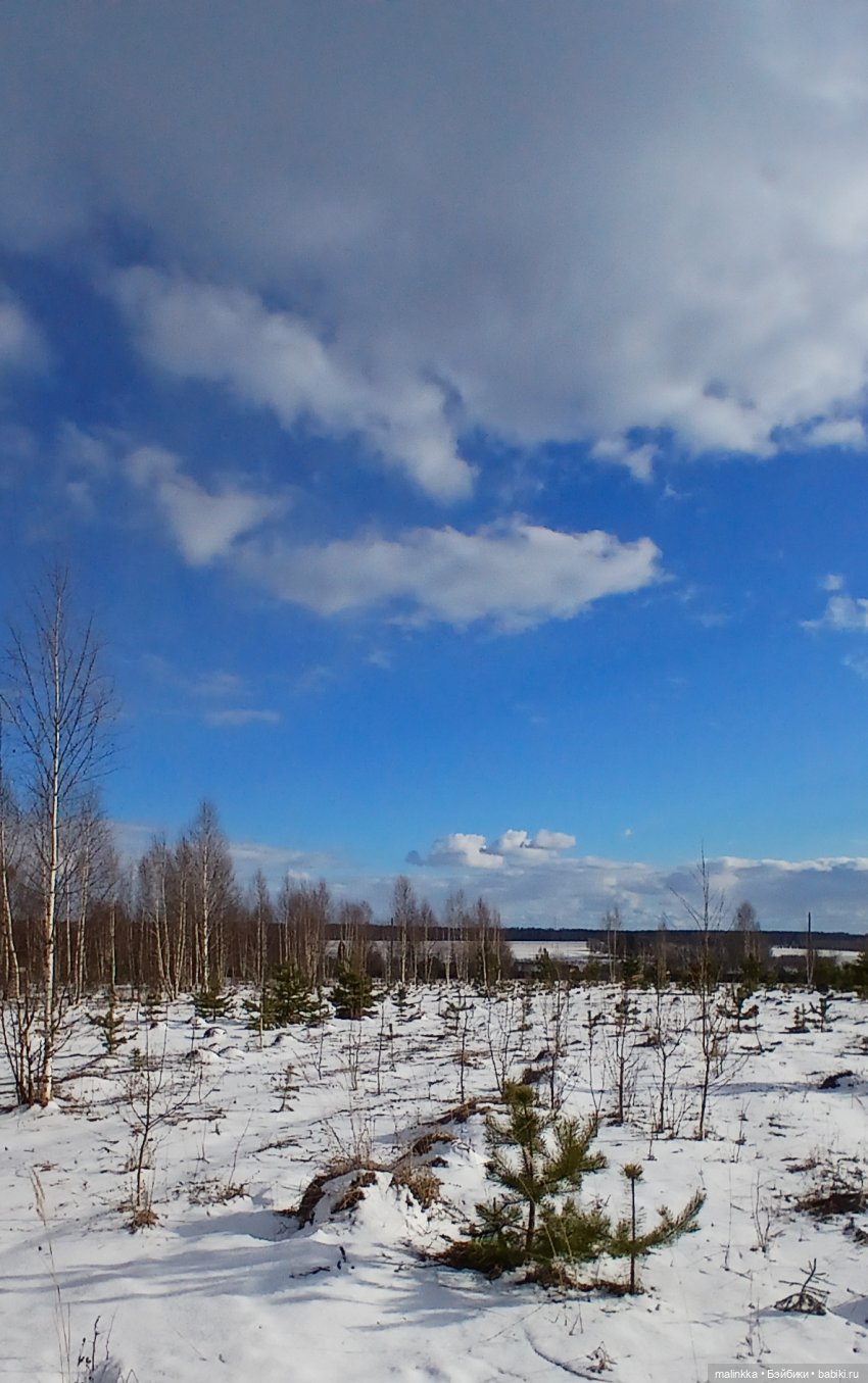 Прогулка с Ари — Российские куклы Весна (фото 6)