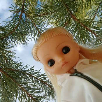 Прогулка с Ари