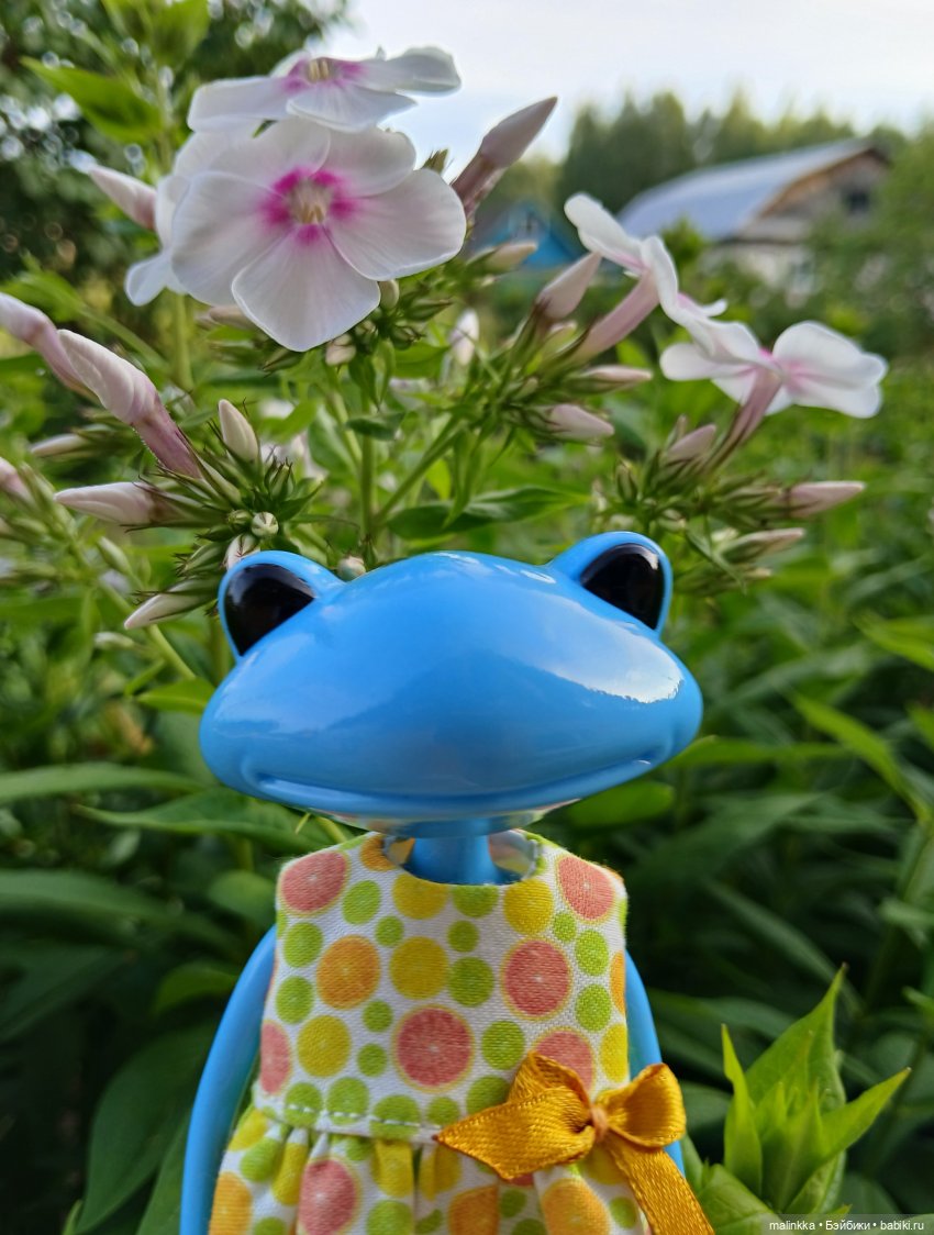 Антонина Wonder Frog, Studio uoo (фото 3)
