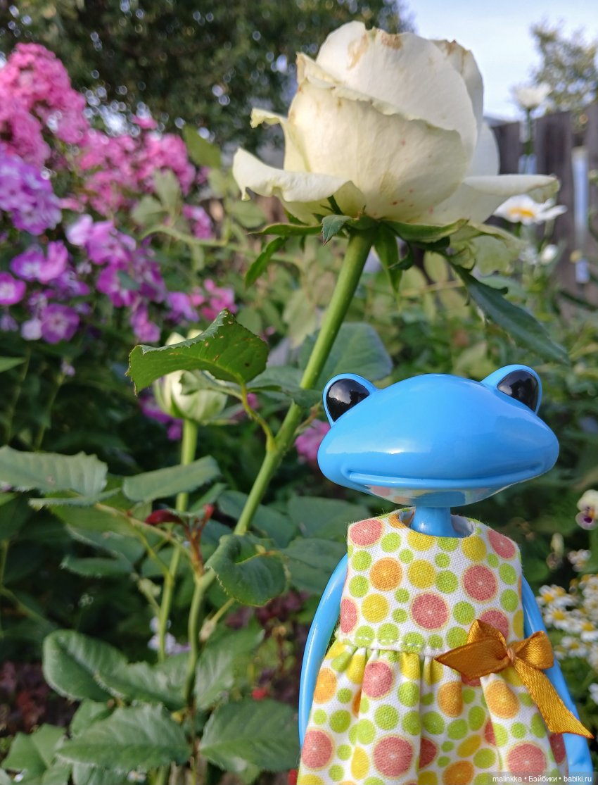 Антонина Wonder Frog, Studio uoo (фото 4)