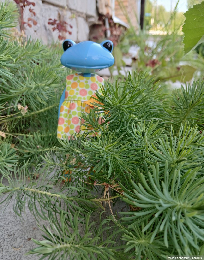 Антонина Wonder Frog, Studio uoo