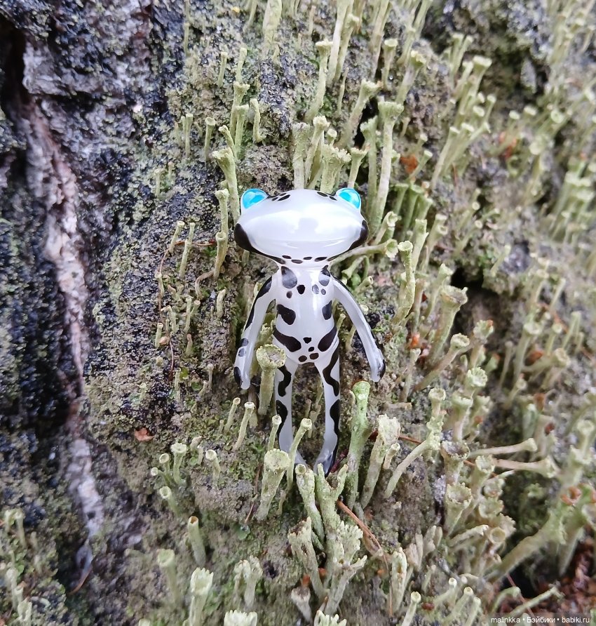 Прогулка в дождливый день. Ян Wonder Frog (фото 2)