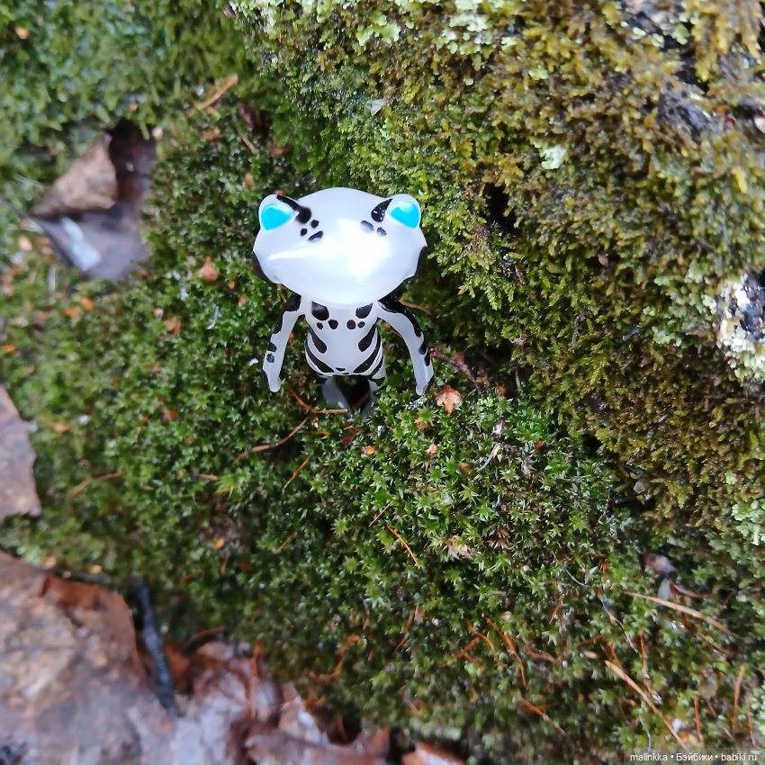 Прогулка в дождливый день. Ян Wonder Frog