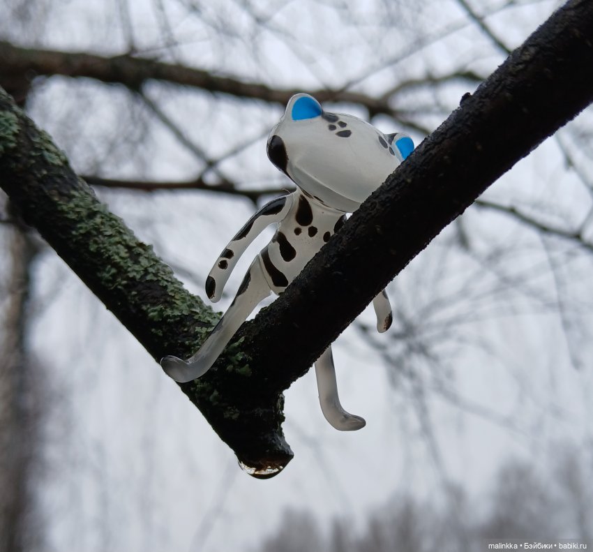 Прогулка в дождливый день. Ян Wonder Frog