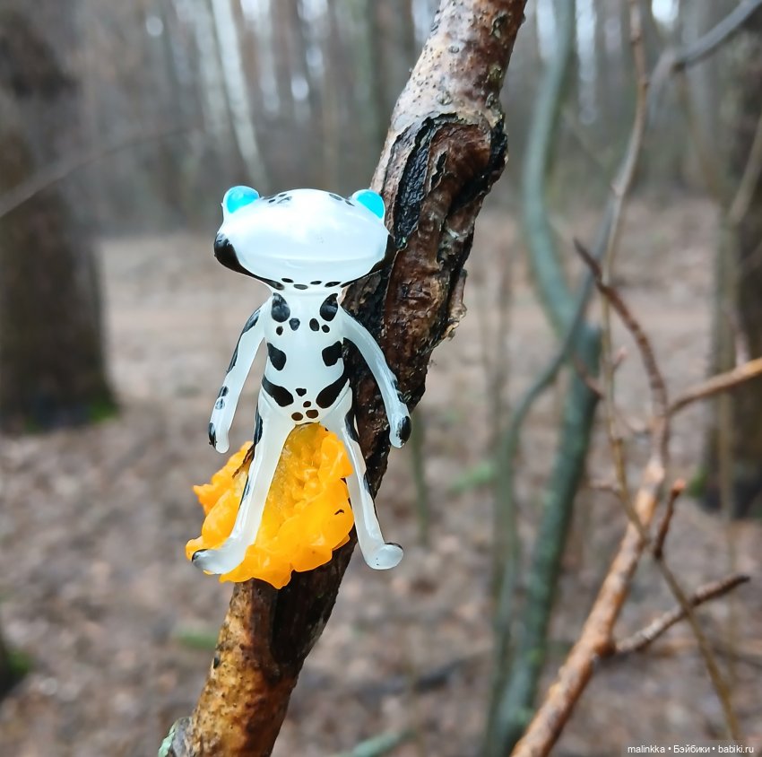 Прогулка в дождливый день. Ян Wonder Frog (фото 6)