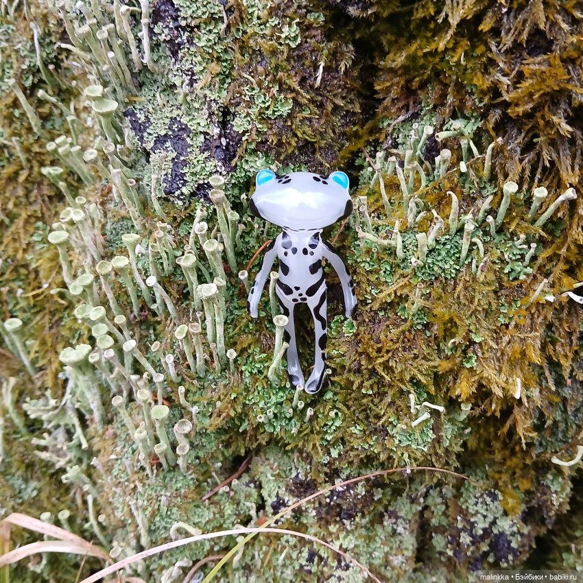 Прогулка в дождливый день. Ян Wonder Frog (фото 5)