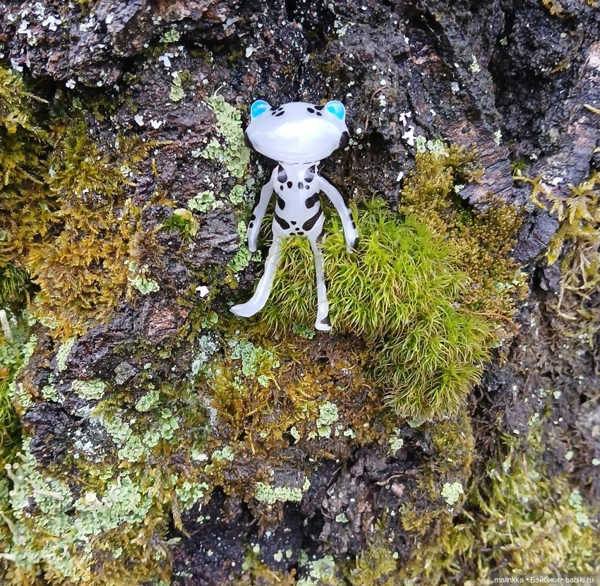 Прогулка в дождливый день. Ян Wonder Frog