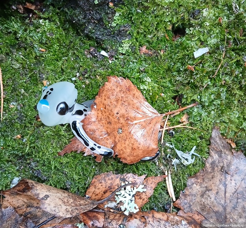 Прогулка в дождливый день. Ян Wonder Frog