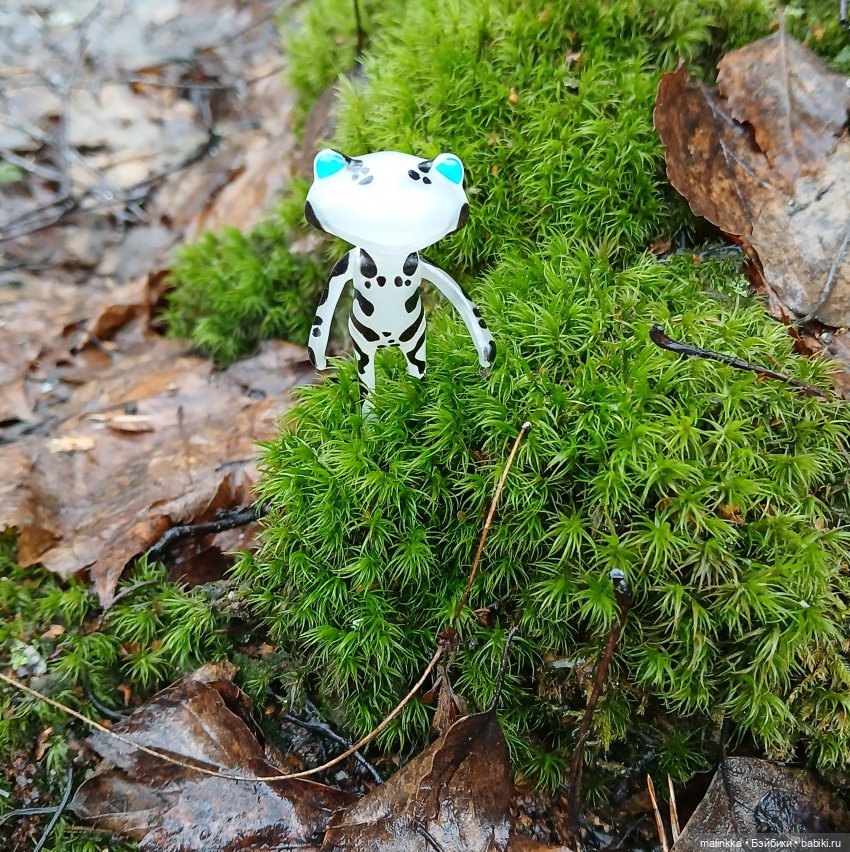 Прогулка в дождливый день. Ян Wonder Frog